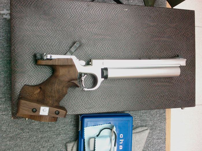 100611_pistol